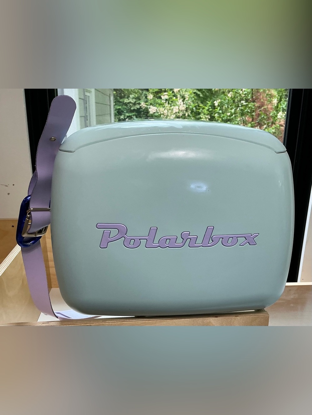 Polarbox Portable Cooler Bag in Mint with Lavender Logo